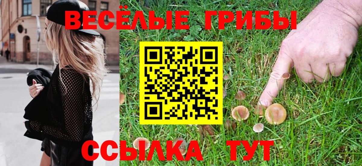 Псилоцибиновые грибы GOLDEN TEACHER  Вход с VPN  купить наркотик  Среднеуральск 